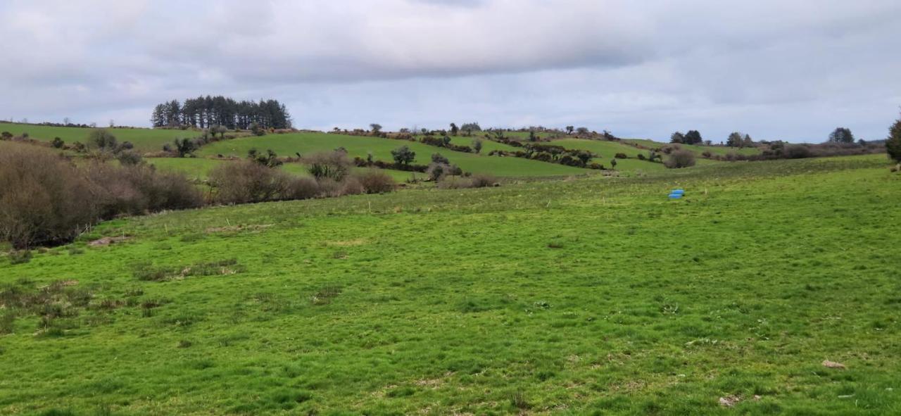 Peacock Farms Estate Διαμέρισμα Κορκ Εξωτερικό φωτογραφία